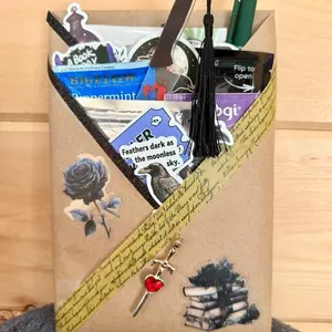 DELUXE Mystery Blind Date with a Book Bundle -   A BookTok favorite