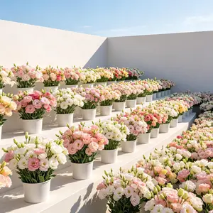 Lisianthus Seeds, 800 Pcs Bulk Flower Seeds, Ideal for DIY Floral Arrangements, Wedding Favors & Sweet Anniversary Gifts for Gardening Lovers