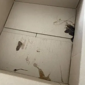 review image 0
