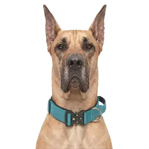 Teal Heavy Duty Dog Collar for Great Dane, Escape Proof Light Blue Pet Gear with Metal Buckle, Strong Control Handle Comfort Collar for Giant Breeds, No-Pull Premium Gear for Heavy Pullers
