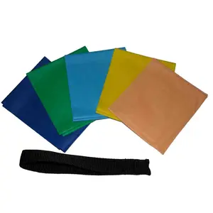 Flat Resistance Band Set with Door Anchor