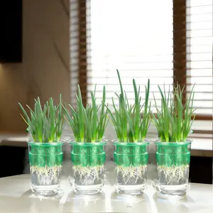 【4 PCS Green/White/Blue/Black】 Onion Planter - Hydroponic Scallion Grower Kit Compatible with Mason Jar for Windowsill Garden & Propagation