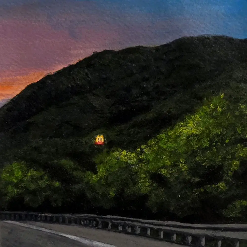 Mcdonald's, George Washington National Forest, West Virginia Art Print