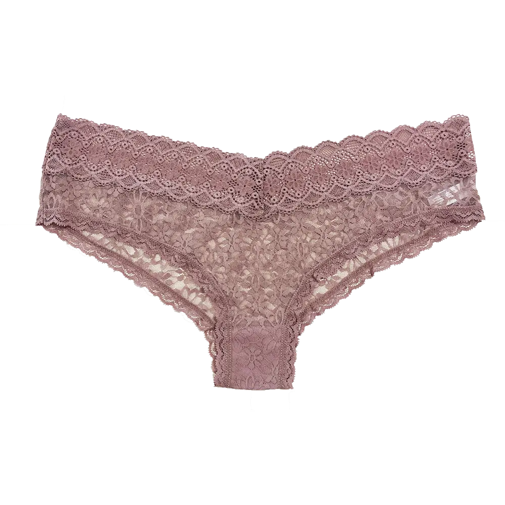 Women's V-Front Lace Cheeky Panties - Breathable Floral Spandex-Nylon Blend, Lace Accented, Sexy, Soft Fabric, Non-Seamless Briefs for Slip & Daily Wear, Lace Accented Briefs