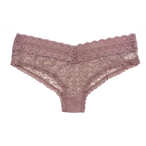 Women's V-Front Lace Cheeky Panties - Breathable Floral Spandex-Nylon Blend Underwear, Ideal for Wear Under Slip and Daily Outfits