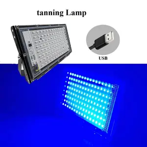 Power UV Light Lamp 395nm, for Beauty & Deep Skin Care, Portable Home/salon Bedside UV Lamp, Low Voltage Plug-And-Play