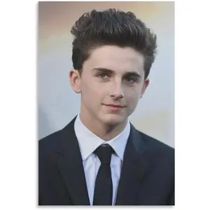 Timothee Chalamet Wall Artistic Poster 5 Living Room Printing Oil Painting Interior Decoration Poster