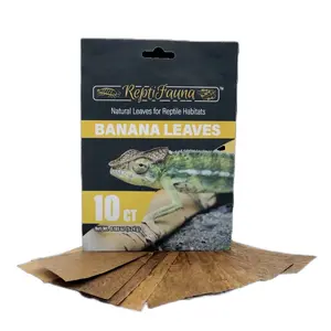 ReptiFauna Banana Leaves 10 Ct