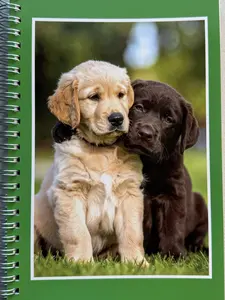 2026 Puppy Planner for Dog Lovers with Adorable Puppies on Every Page 12-Month Calendar & Weekly Layout