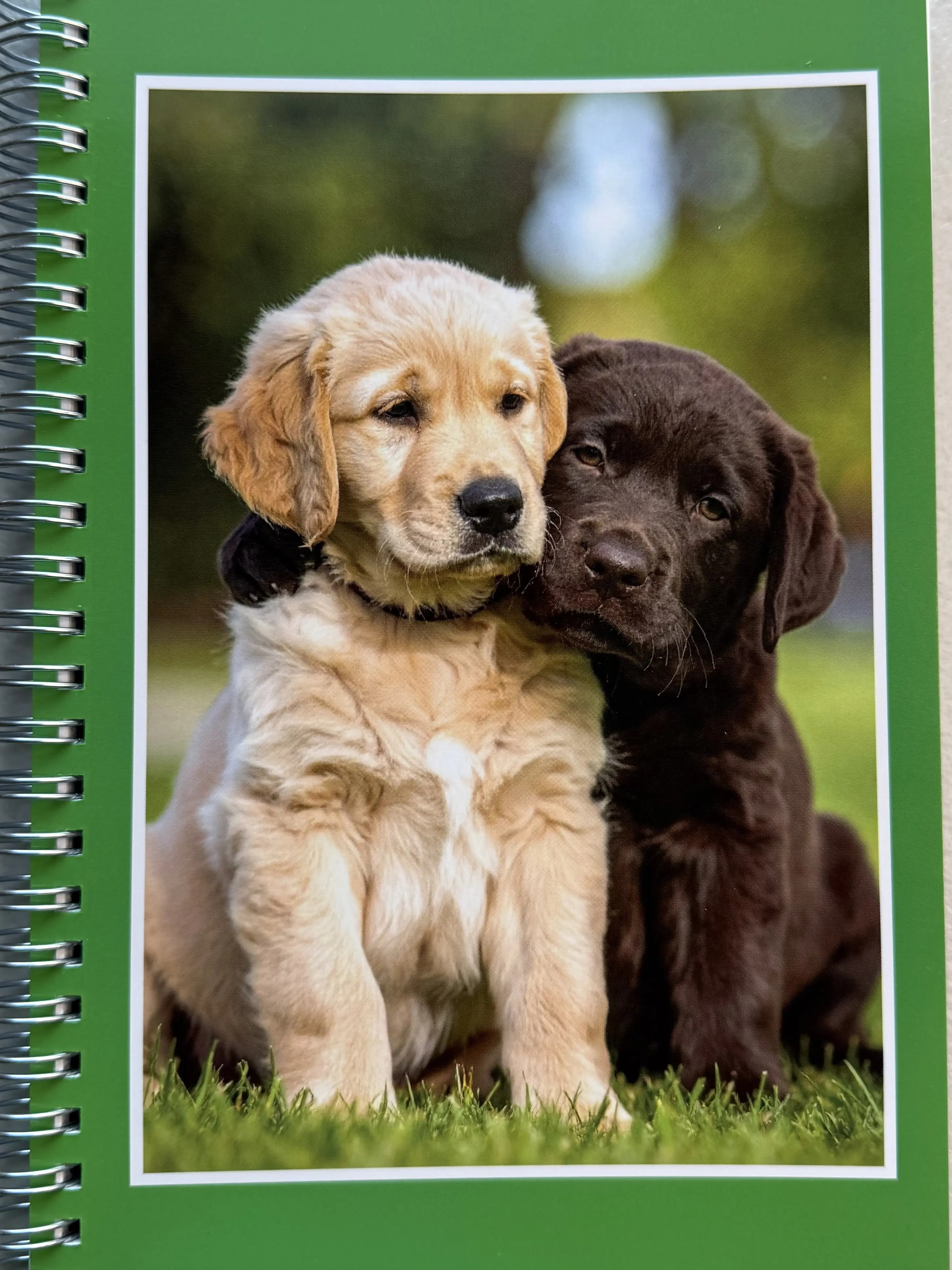 2026 Puppy Planner for Dog Lovers with Adorable Puppies on Every Page 12-Month Calendar & Weekly Layout