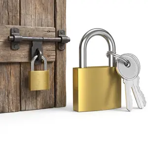 Gold Hardened Alloy Lock and Key Padlocks (2-Pack, 32mm) - Heavy-Duty Anti-Theft Secure Metal Locks for Indoor/Outdoor Luggage, Gym Lockers