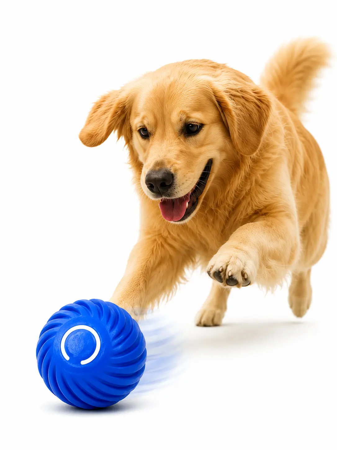 Interactive Automatic Dog Ball, Pets Dogs Training Products, boredom relief, Vibrating Interactive Dog Balls, pet lover, interactive dog toy, interactive puppy, adjustable gear, usb rechargeable,