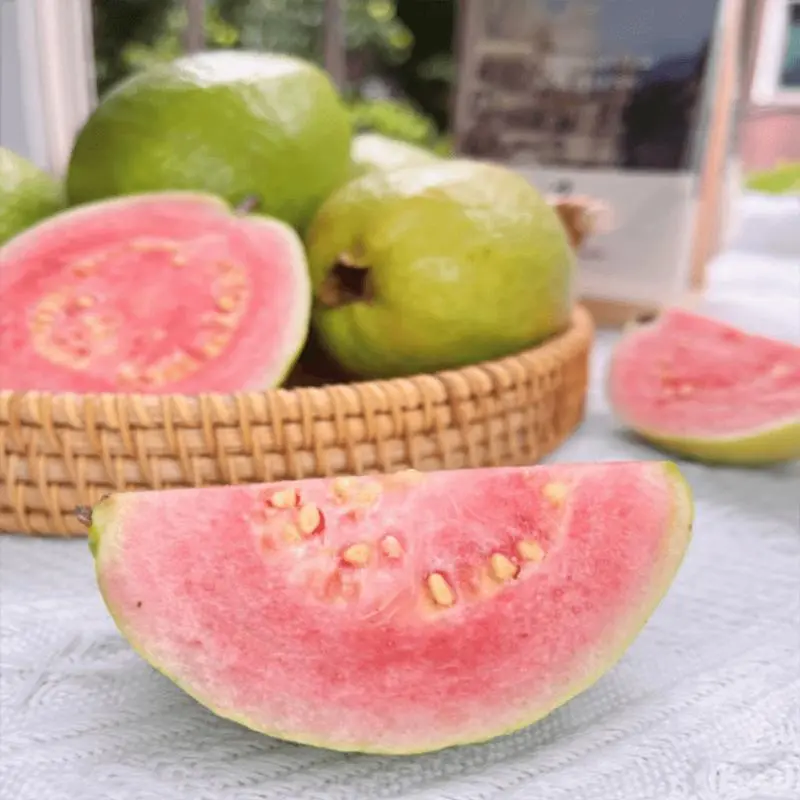 Guava Fruit Seeds 50 Count – Exotic Tropical Tree Seeds for Backyard & Container Gardening – Beginner Friendly – Seeds Only