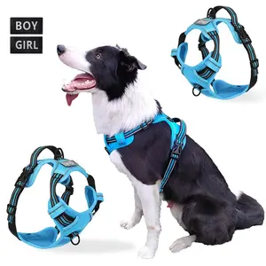 Dog Collars Harness Big Vests Leash, Durable Reflective Harness, Leather Puppy Accessories, Medium Small Set, Pet Shop Essentials for Dogs