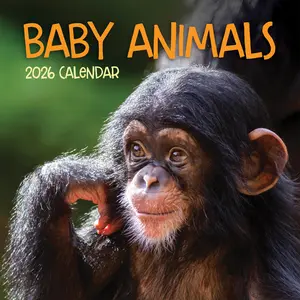 2026 Baby Animals Wall Calendar