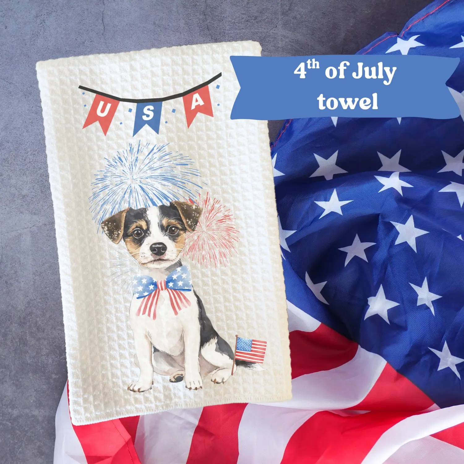 Jack Russell terrier #2