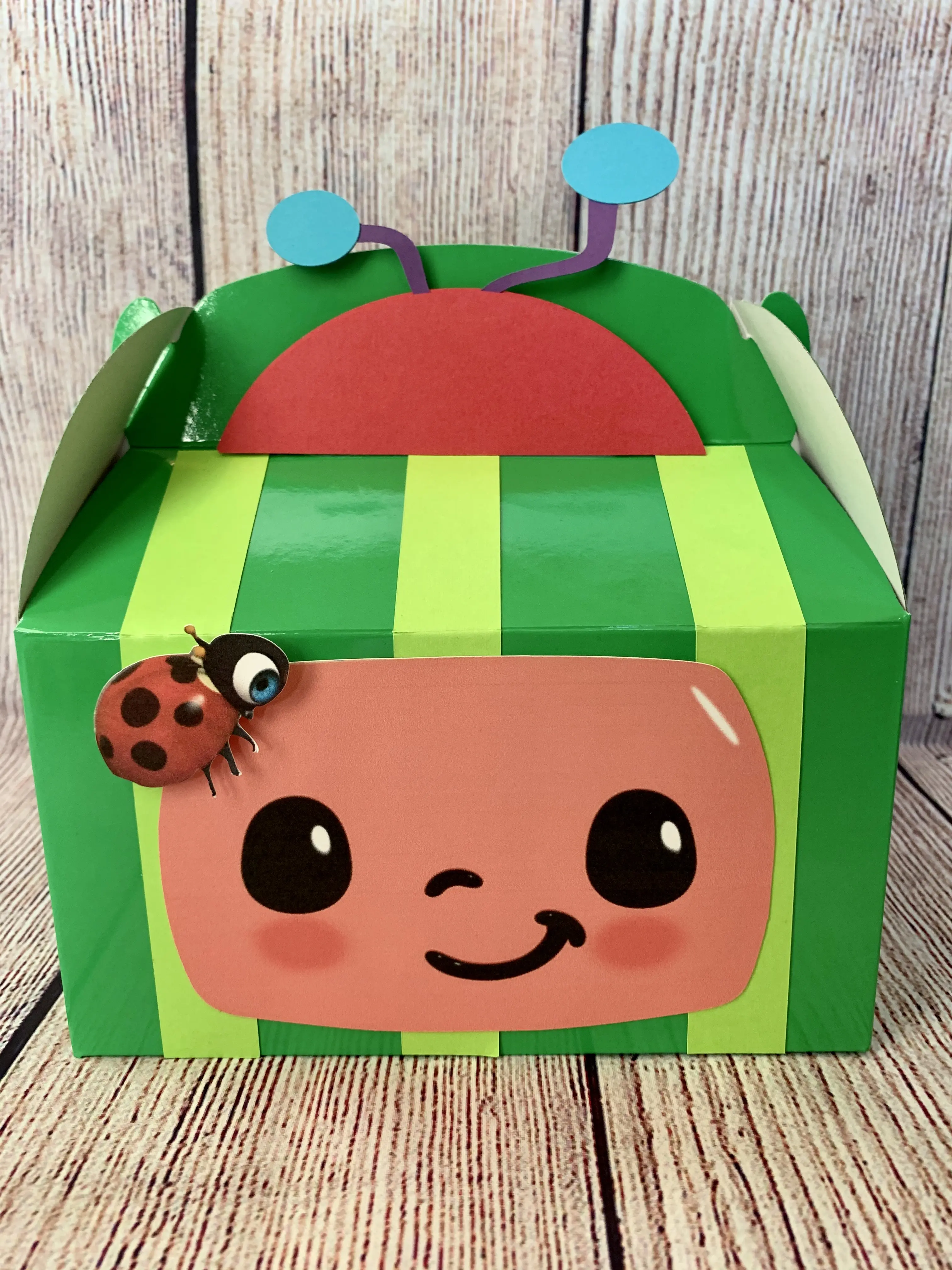 Cocomelon Party Favors Children Cocomelon Party Favors Children
