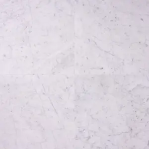 Carrara White 18x18 Marble Field Tile Polished/Honed Sample