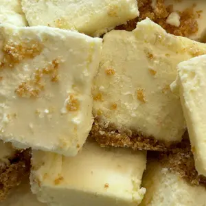 Freeze Dried NY Style Cheesecake Freeze Dried NY Style Cheesecake