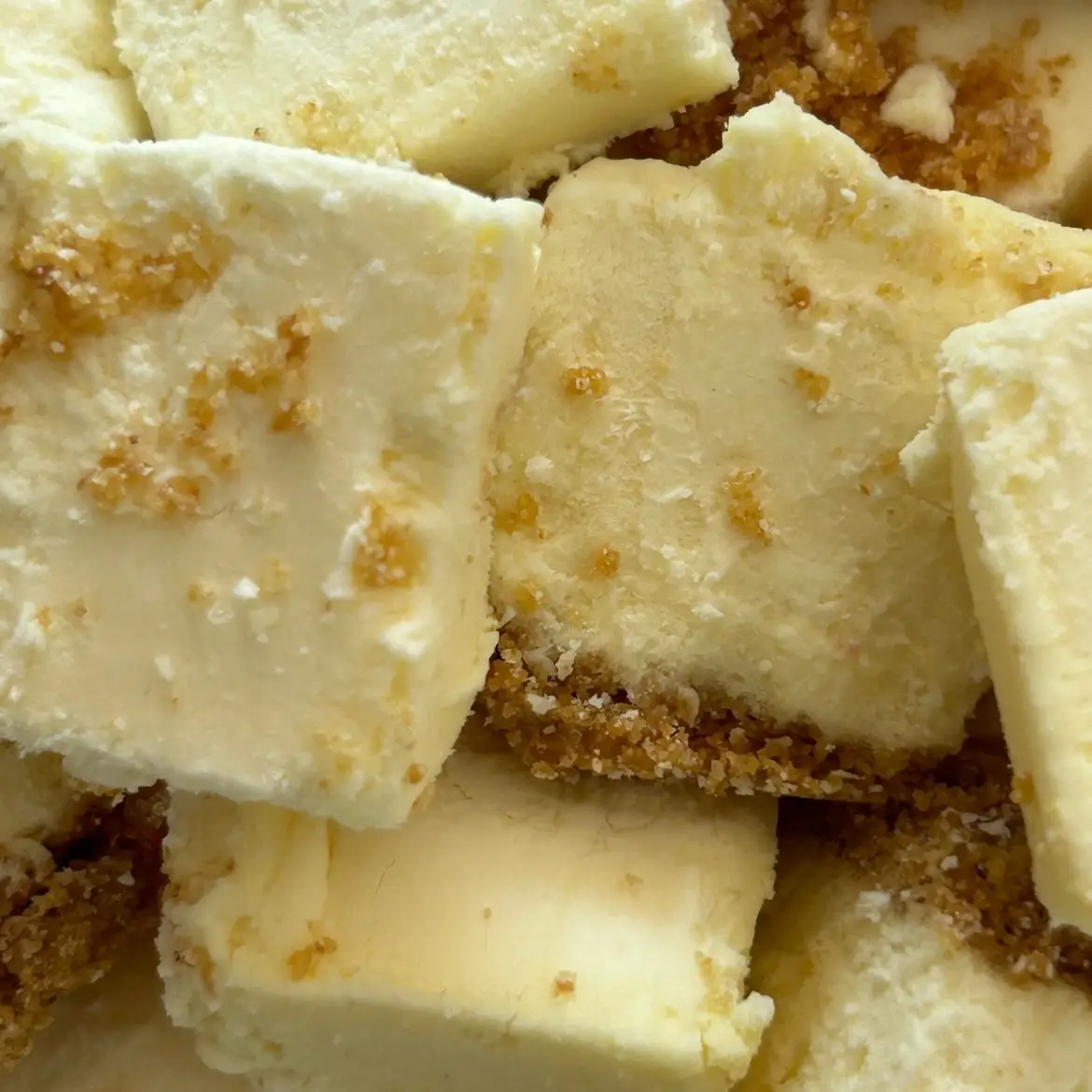 Freeze Dried NY Style Cheesecake