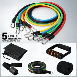 Resistance Bands with Handles, Home Workout Essential for Men & Women, Fitness Exercise Bands for Weight Training