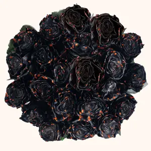 Black Widow Tinted Roses - Fresh Premium Ecuadorian Roses for Halloween Displays - 50cm Total Length - 5cm Bloom Size - Fresh from the Farm - 25 Stems per Pack