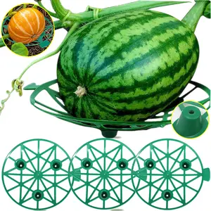 1/2Pcs Fruit Stand Prevents Rot Watermelon Vegetables Support Basket Melon Holder Tray Garden Strawberry Cantaloupe Frame Basket