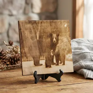 Engraved Bear Photo