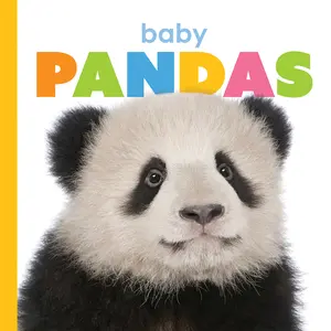 Baby Pandas (Board Book)