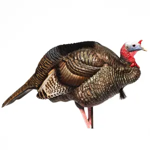 3/4 Strut Jake Decoy