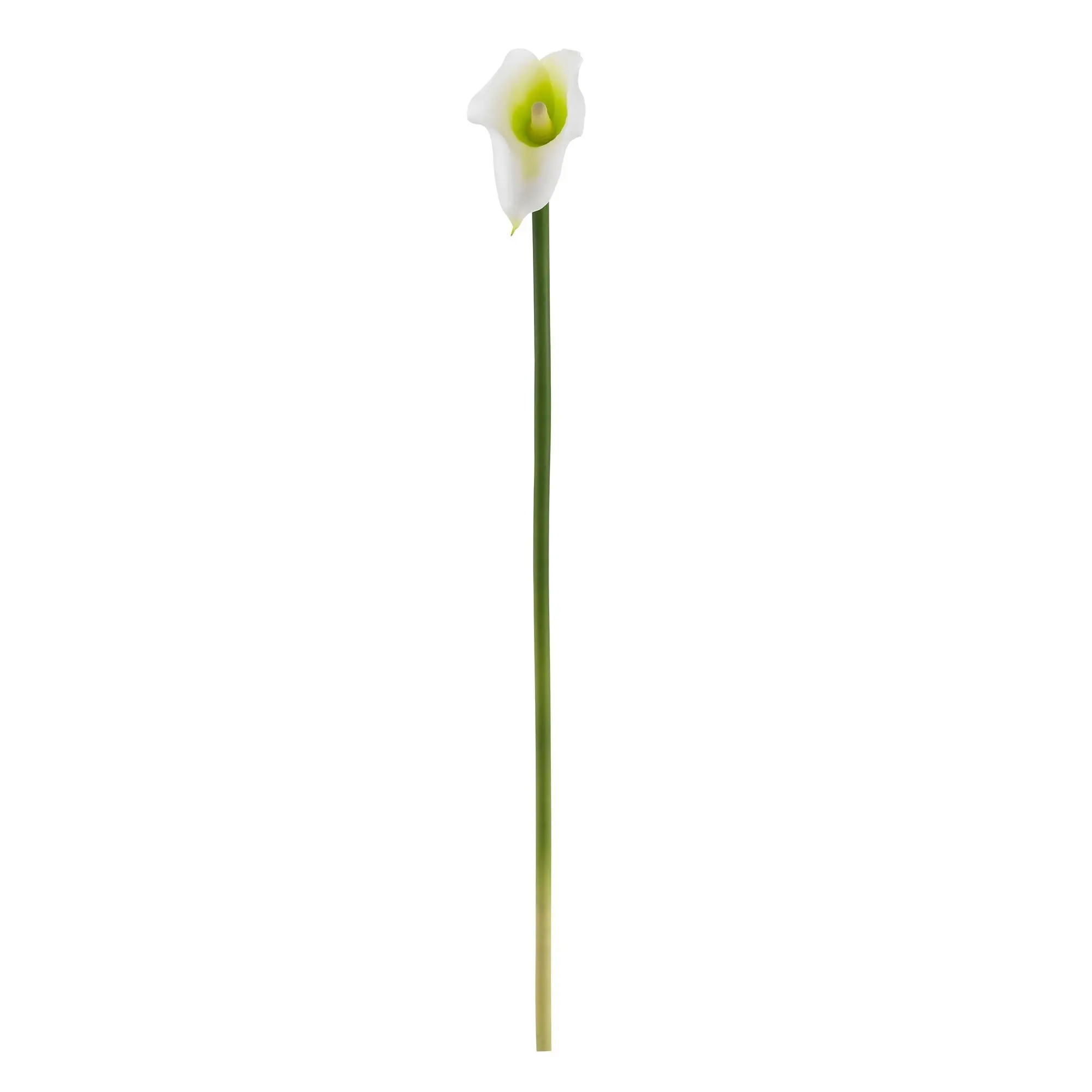 19.5” Calla Lily Artificial Flower (Set of 12) 19.5” Calla Lily Artificial Flower (Set of 12)
