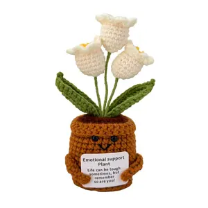 Emotional Support Plant – Handmade Crochet Flower Pot with Heartwarming Message, Perfect Gift for Loved Ones