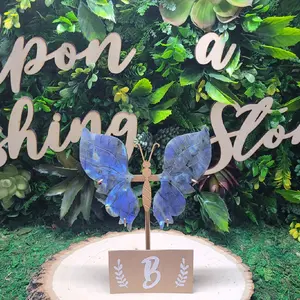 Unique Labradorite Butterfly Wings with Stand