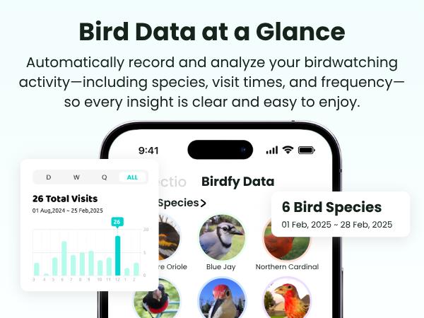 Birdfy Smart Bird Feeder with Camera for Rookie, Camera Bird Feeder Dual Night Vision, AI Recognition IP66 Waterproof for BirdLovers Birdfy Smart Bird Feeder with Camera for Rookie, Camera Bird Feeder Dual Night Vision, AI Recognition IP66 Waterproof for BirdLovers