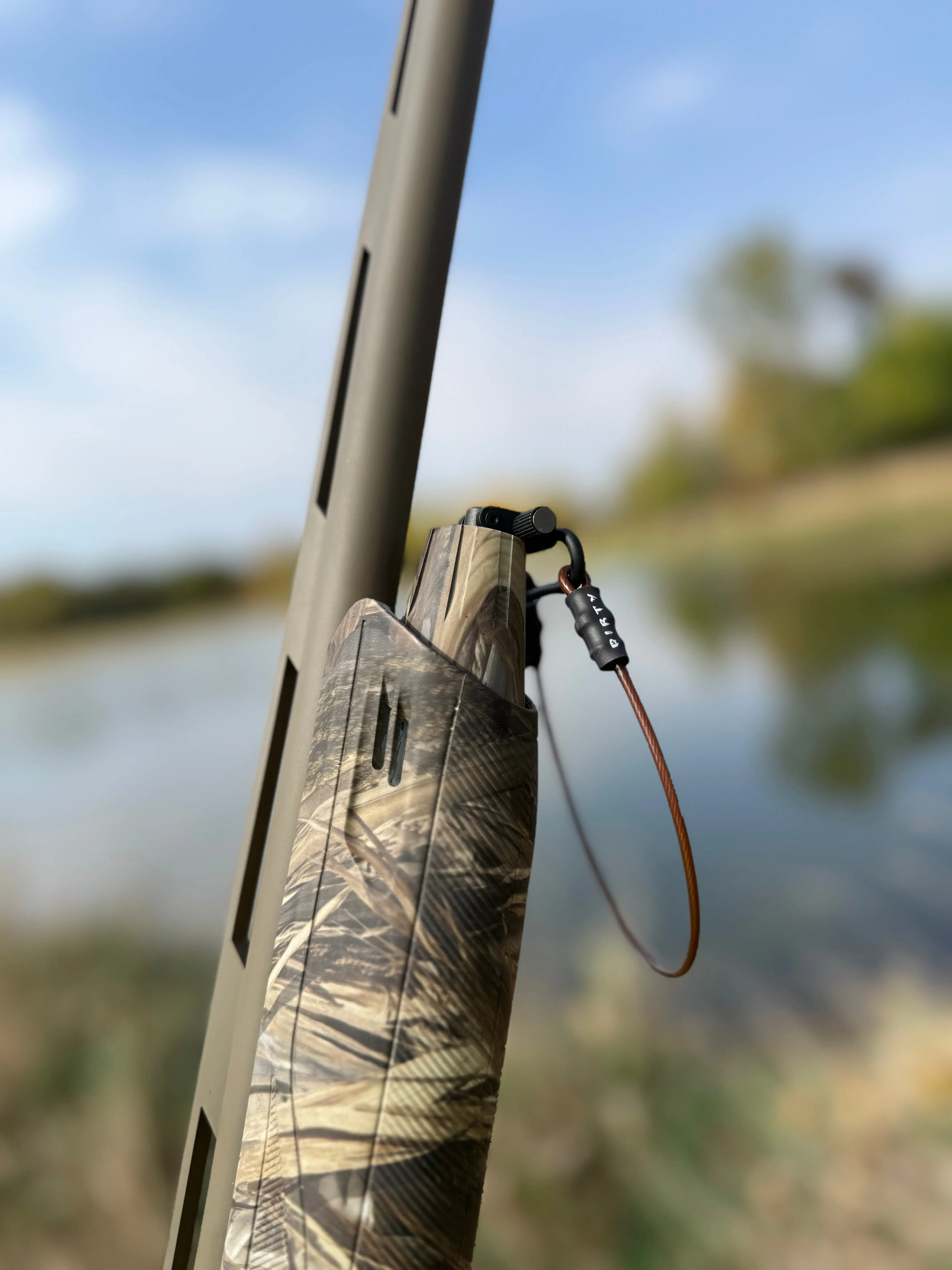 Timber Loop