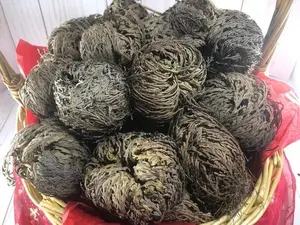 Rose of Jerricho (Selaginella )/Resurrection Plant