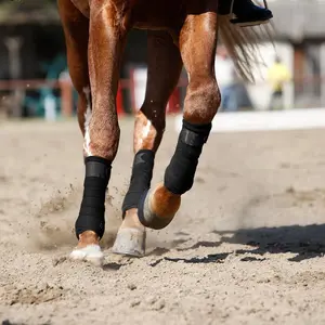 Set of 4 Horse Leg Protectors, Breathable Horse Boots for Active Horses, Durable and Comfortable, Equestrian Gear, Horse Leg Bandages