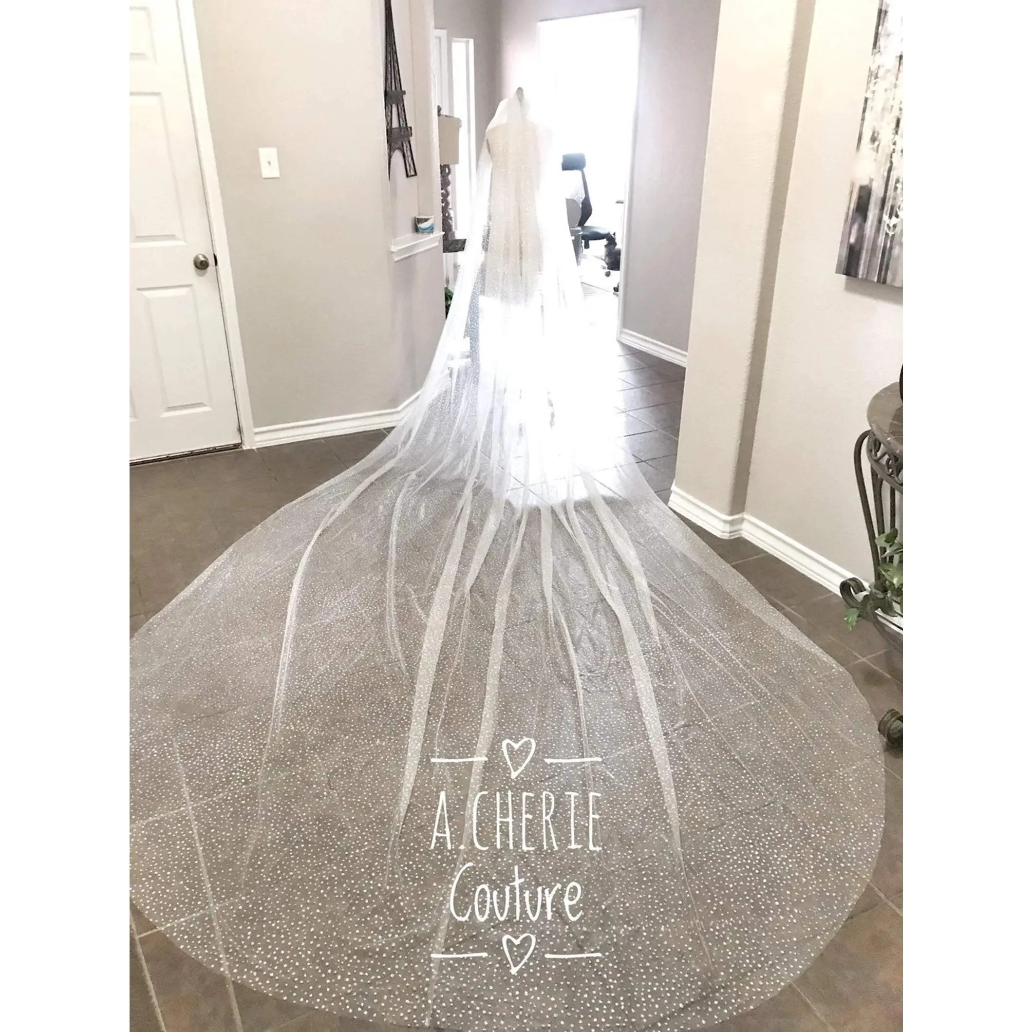 Style RV24 Spotted Glitter Tulle Royal Trailing Veil, Fashion Accessory for Dressmaking