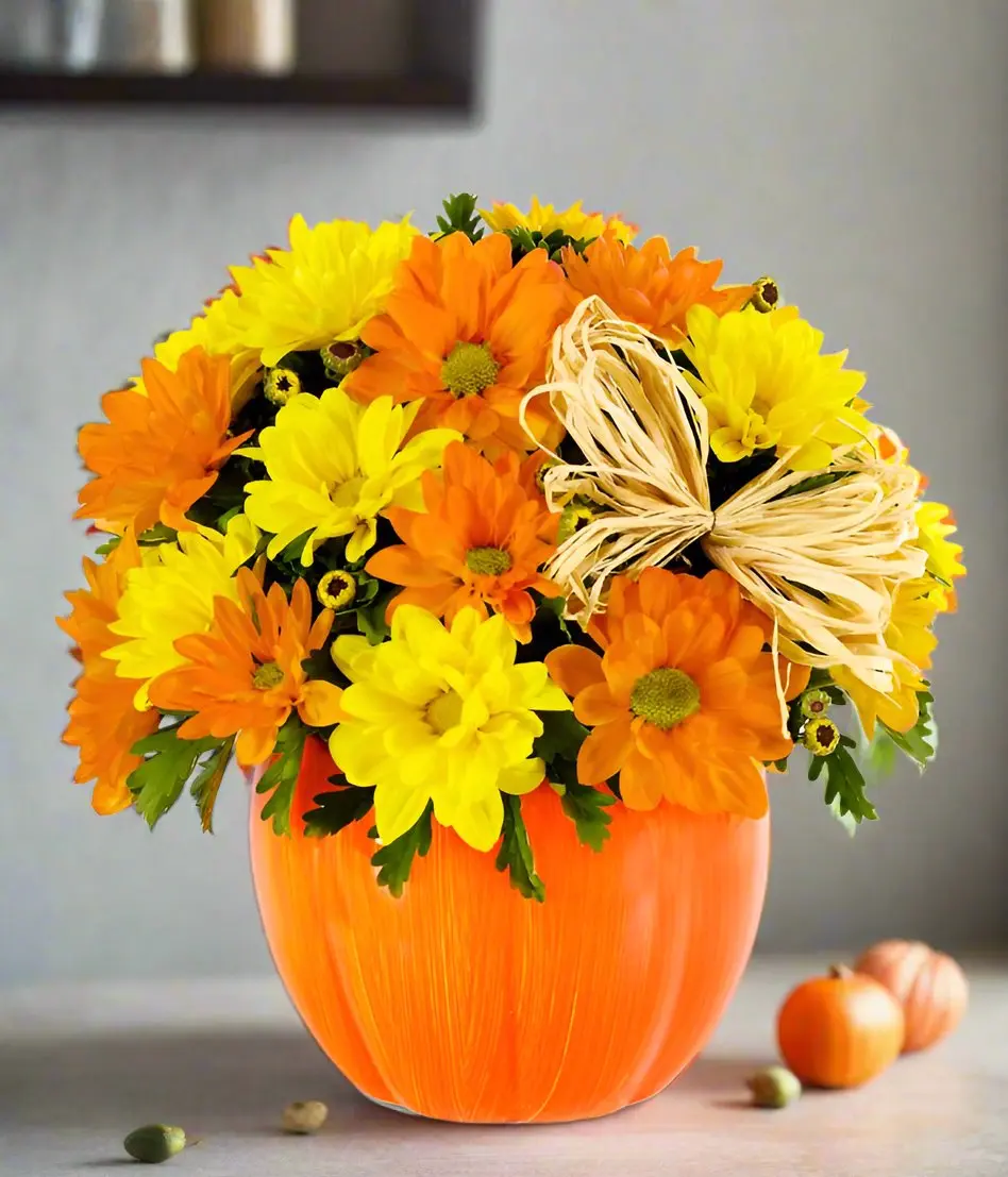 The Daisy Pumpkin Patch