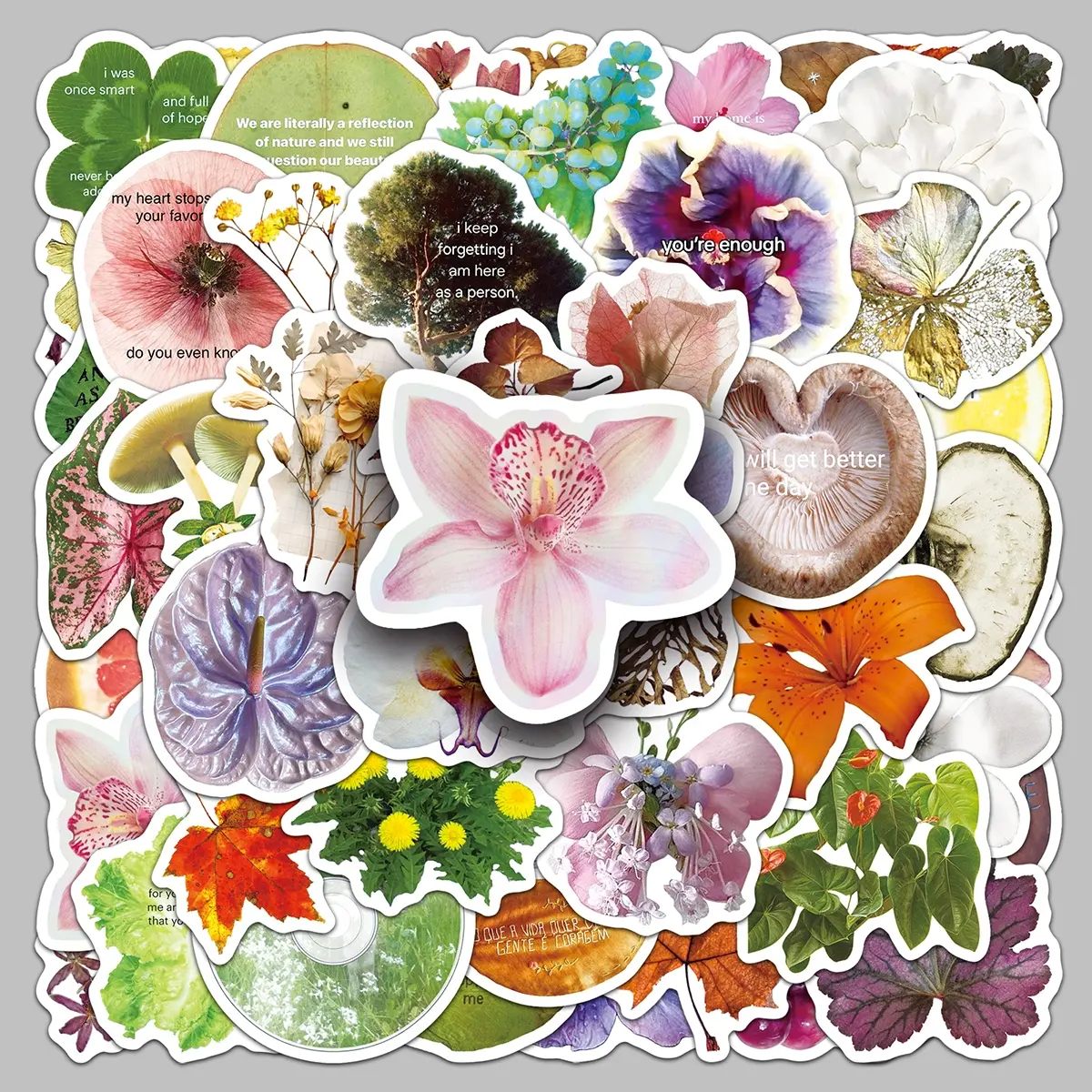 50pcs plant specimens cartoon personality graffiti creative Positive Stickers storage box stationery skateboard guitar decorative stickers Aesthetic Stickers