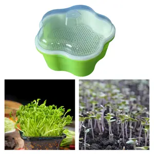 Seed Sprouter Tray with Lid Sprouting Seeds Cultivation Germination Nursery Tray for Grow Grass Bean Seedling Planting Indoors