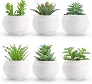 Set of 6 Succulents Plants Artificial in Pots Small Fake Plants for Bedroom Aesthetic Living Room Office Shelf Bathroom Decor