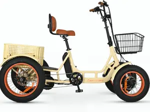 sixthreezero ANYterrain Stabilized  4 Wheel Electric Bike