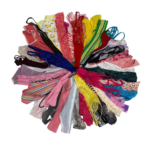 Variety Panties for Women Pack Sexy Thong Hipster Briefs G-String Tangas Assorted Multi Colored Underwear