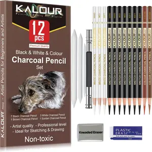Charcoal Pencil Set, 12pcs White & Black & Colored Art Sketching Pencil with Blending Stumps & Erasers & Extender, Ideal for Artists Students, Art School Supplies