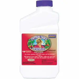 Bonide BND253 Bonide Qt Dead Bug Brew Conc