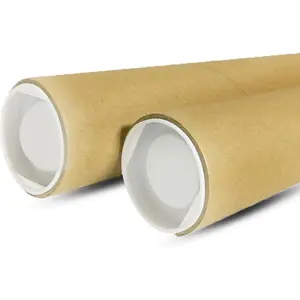 2 Pack Mailing Tubes with Caps for Poster, Artwork Storage, Shipping Blueprints, 2 inch x 12 inch