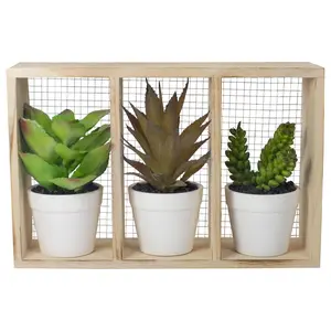 Northlight 10.75" Artificial Potted Succulentsin Wooden Box