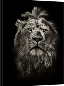 Graphic Black and White Lion Portrait Canvas Prints Wall Art Stretched Wood Frame BaW Animal Canvas Pictures for Living Room Decoration Vertical Ready to Hang SHJY-02378