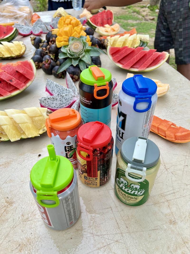 DIPESI 4-Pack BPA-Free Soda Can Lids with Straw - Reusable Lids for Seltzer, Juice & Beverage, Silicone Straws Included Drink Covers Children's Day